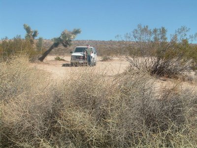 Jeff in Mojave