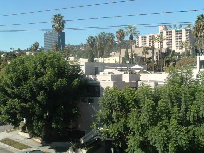 The Hills