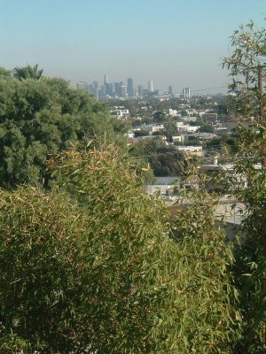 Downtown LA in distance