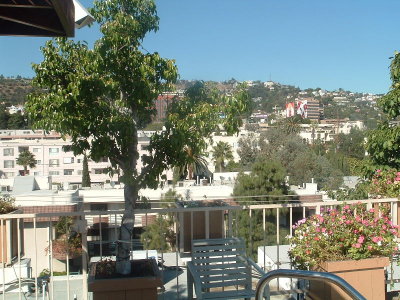 Hot Tub View