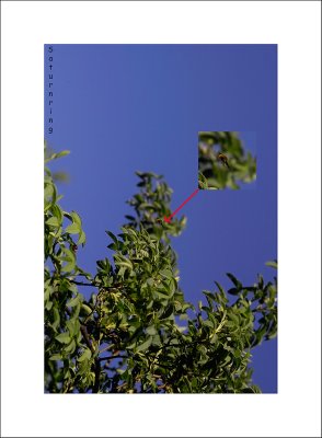 IMG14837.jpg