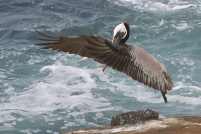 Cleared for Landing