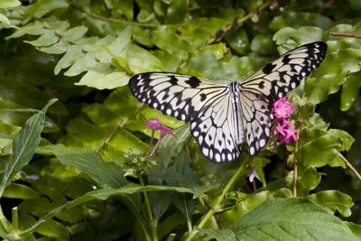 CRW_3903.jpg