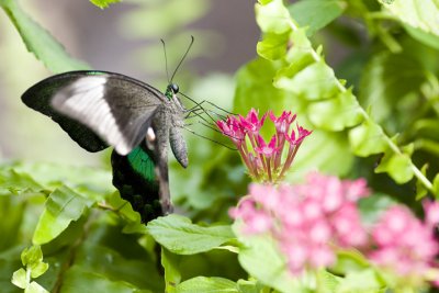 CRW_3908.jpg