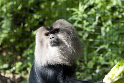 IMG_3729.jpg