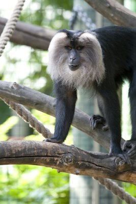 IMG_3737.jpg