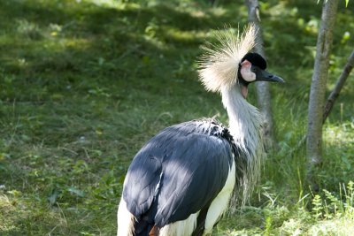 IMG_3876.jpg