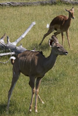 IMG_3906.jpg