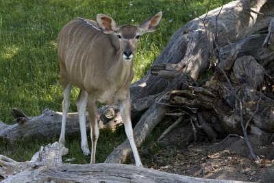 IMG_3909.jpg