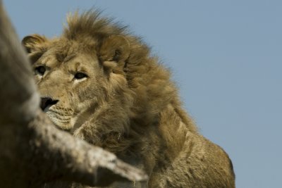IMG_3960.jpg