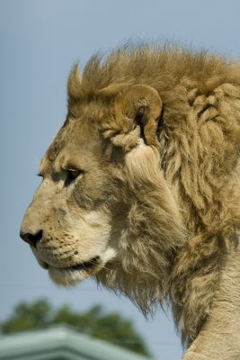IMG_3965.jpg
