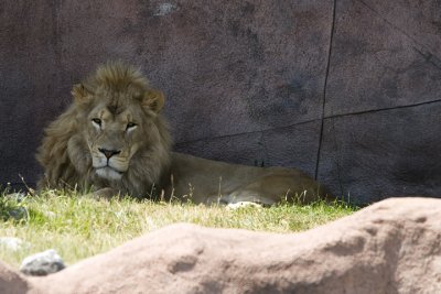 IMG_4010.jpg