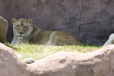 IMG_4027.jpg