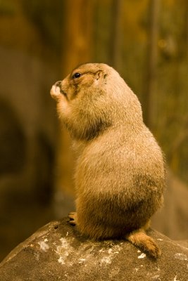 IMG_4040.jpg