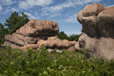 CRW_4450.jpg