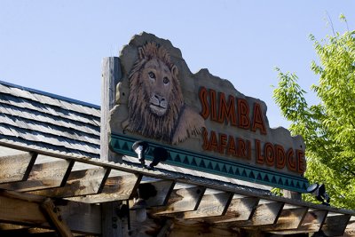 IMG_7058.jpg