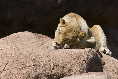 IMG_7090.jpg