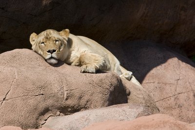 IMG_7096.jpg