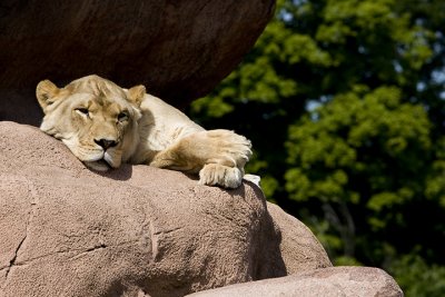 IMG_7137.jpg
