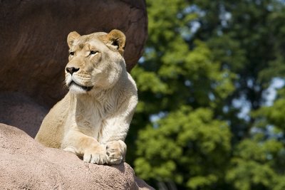 IMG_7151.jpg
