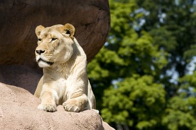 IMG_7160.jpg