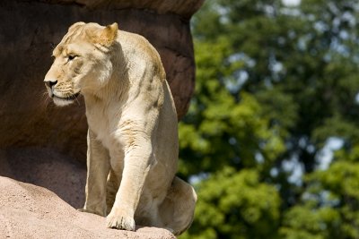 IMG_7172.jpg
