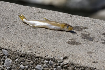 IMG_7218.jpg