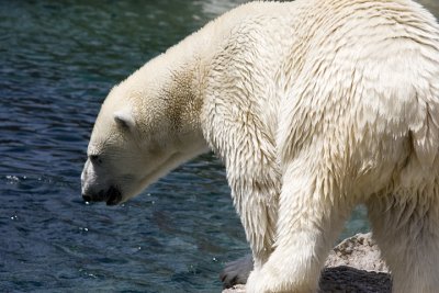 IMG_7230.jpg
