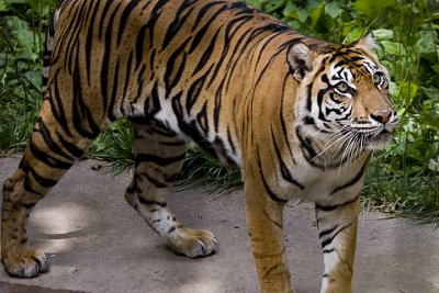 IMG_7309.jpg