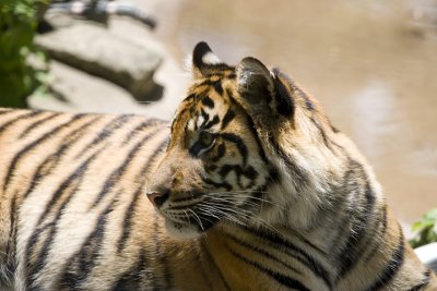 IMG_7330.jpg