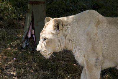 IMG_7418.jpg
