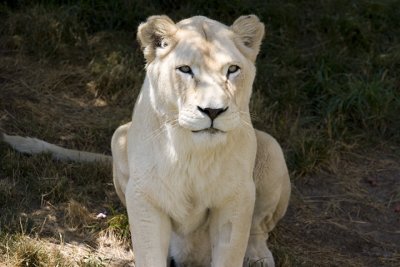 IMG_7431.jpg