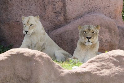 IMG_7561.jpg
