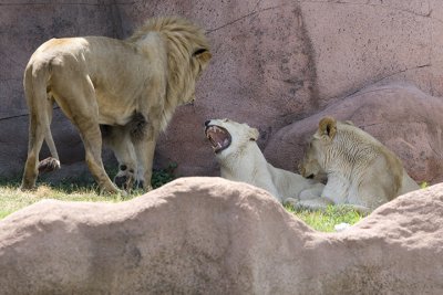 IMG_7578.jpg