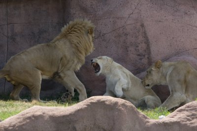 IMG_7580.jpg