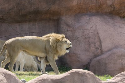 IMG_7586.jpg
