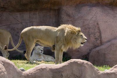 IMG_7588.jpg