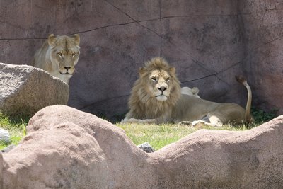 IMG_7594.jpg