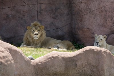 IMG_7603.jpg