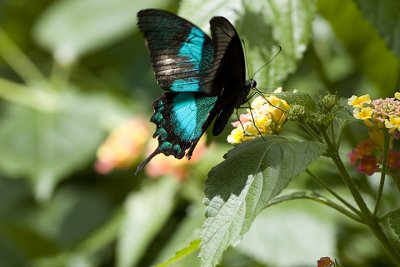IMG_7701.jpg