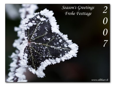 Season's greetings / Frohe Festtage