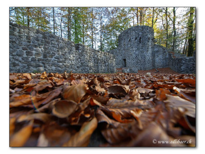 Burgruine / castle ruin