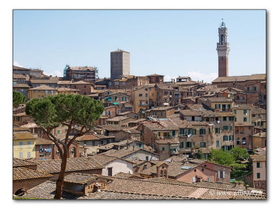 Siena (Tuscany / Toskana / Toscana)