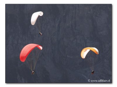 Paragliding (Tandemflights)