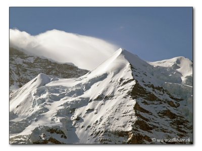 Silberhorn (3695 m)