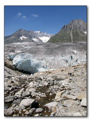 Am Aletschgletscher / at Altesch glacier