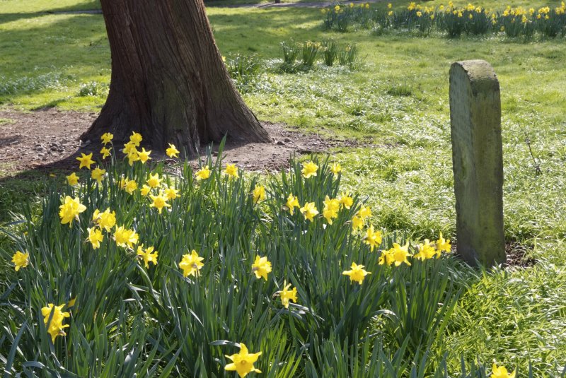 churchyard.jpg