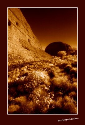 Uluru - Kata Tjuta National Park N.T.