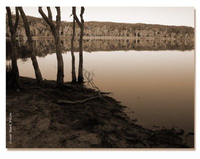 Brown Lake, Stradbroke Is. Qld