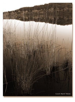 Brown Lake, Stradbroke Is. Qld